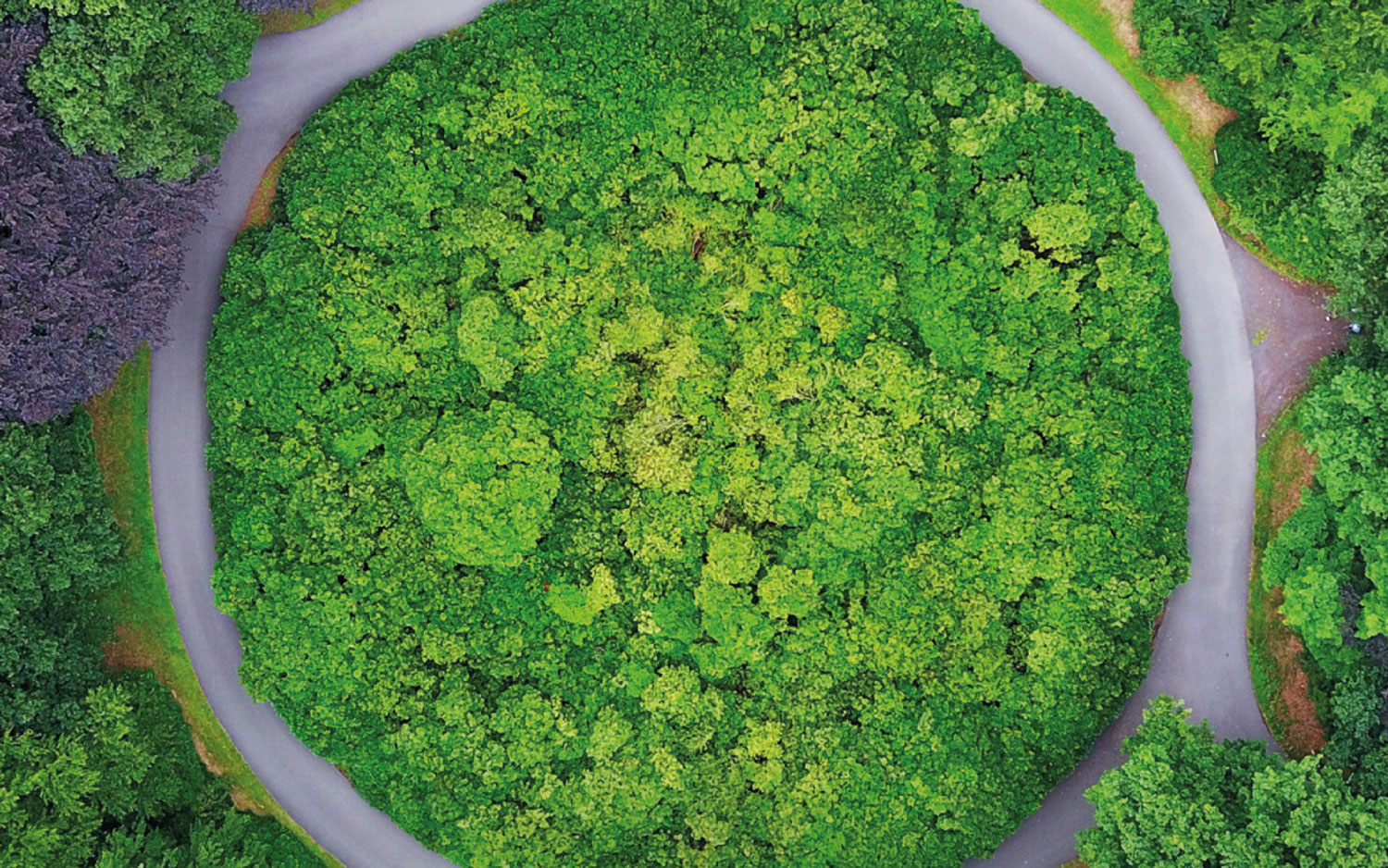 CICLAT_Ambiente2020_novembre2020